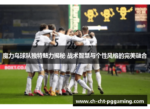 魔力鸟球队独特魅力揭秘 战术智慧与个性风格的完美融合